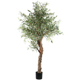 Tree Green Olive Tree In Pot 210cm