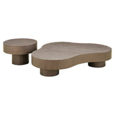 Coffee table Bogor bronze (Set of 2) - Richmond Interiors