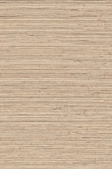 Pampas Matiz Mink 73522 wall covering - Arte