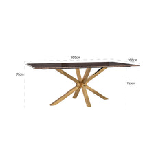 Dining table Conrad  (Gold) - Richmond Interiors