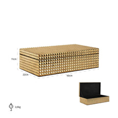 Storage Box Blaze (Gold) - Richmond Interiors