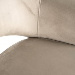 Eetkamerstoel Giovanna trendy nature / khaki velvet fire retardant - Richmond Interiors