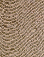 Nuance - Cubro behang - Tissage Mahieu