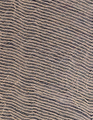 Nuance - Cubro behang - Tissage Mahieu