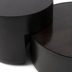 Hollywood Hills Coffee Table S/2