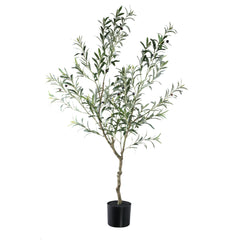 Tree Green olive tree in pot L