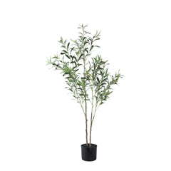 Tree Green olive tree in pot S