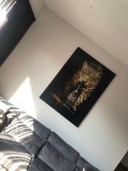 Panter Moët - Exclusive Art