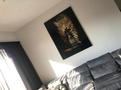 Panter Moët - Exclusive Art