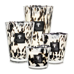 Candle Black Pearls - Baobab